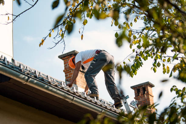 Best Roof Gutter Cleaning  in Glen Ridge, NJ